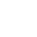 AI model icon representing on-device camera processing