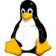 Raspberry Pi icon