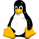Raspberry Pi logo
